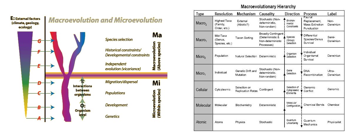 Talk.Origins - Macroevolution: Its Definition, Philosophy and History