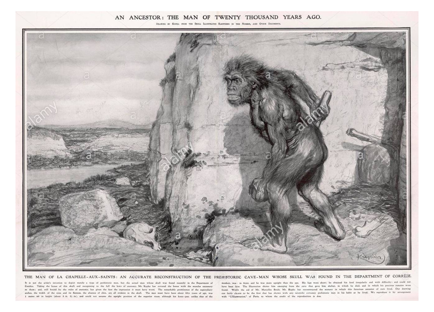 Marcellin Boule's reconstruction of a Neanderthal as a stooped hairy brute.