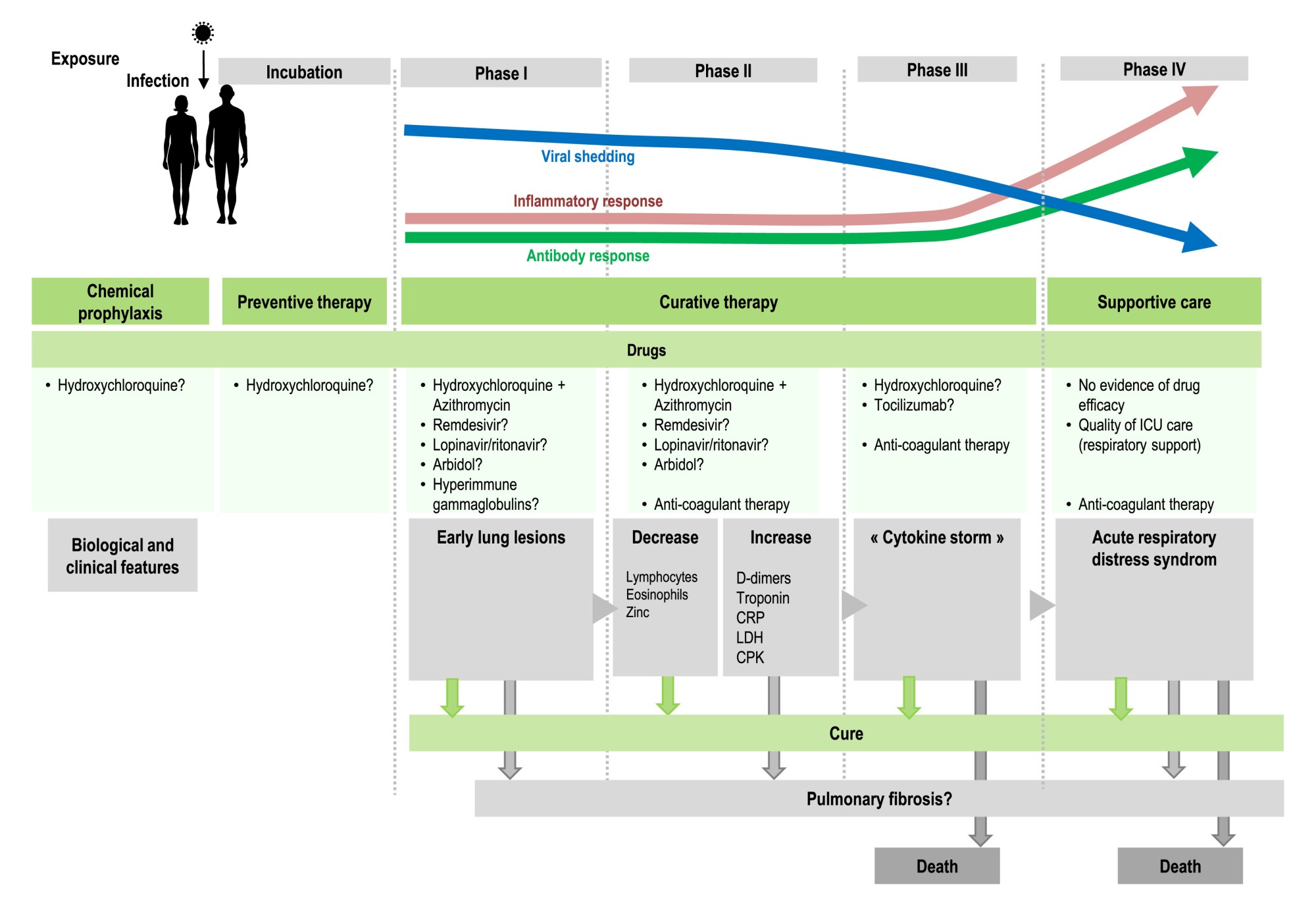 Fig. 4. Evolutionary stages of SARS-CoV-2 infection, including major clinical and biological features and possible therapies.